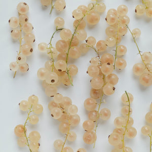 White Currant