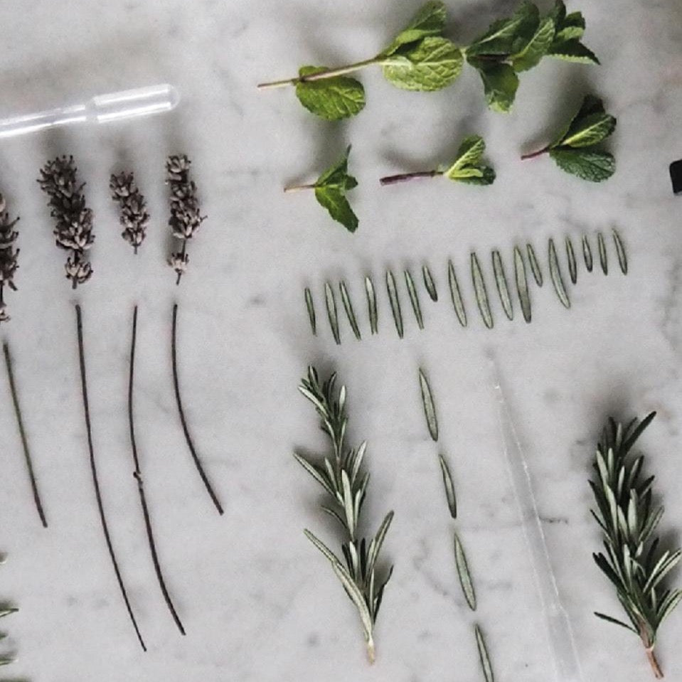 Sage and Rosemary