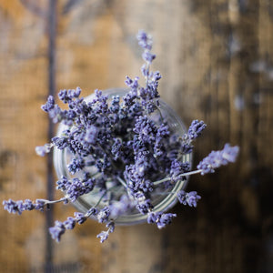 Lavender Fields